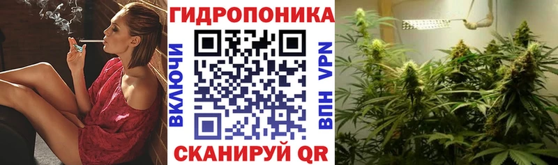 купить   Северская  Бошки Шишки конопля 